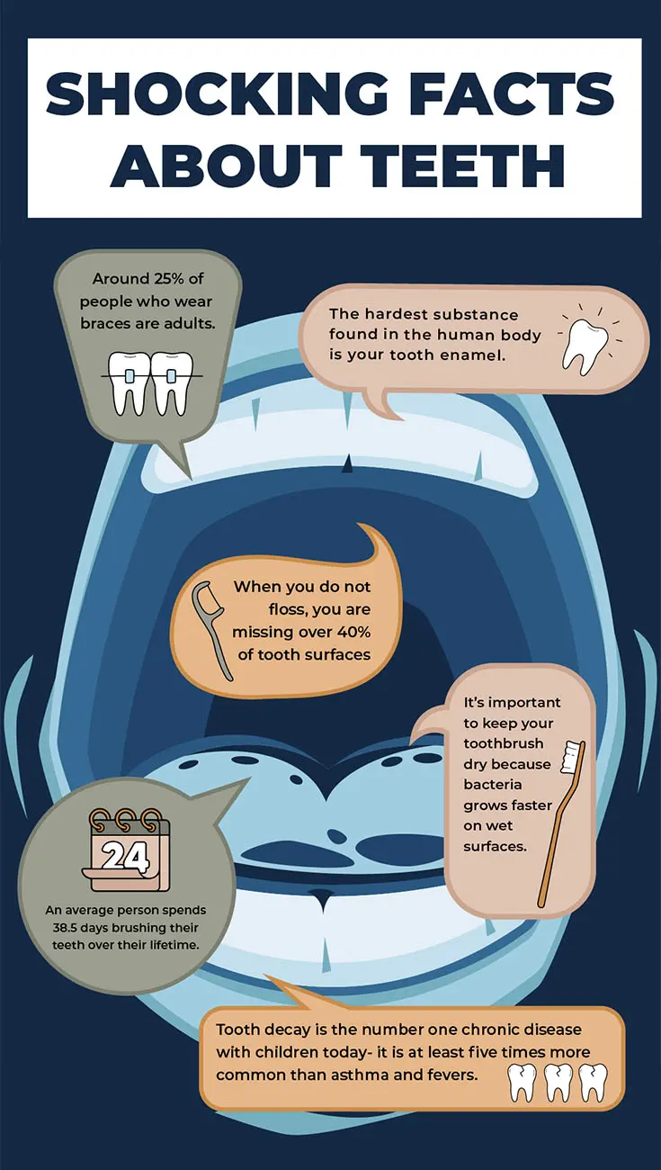 Infographic titled "Shocking Facts About Teeth" featuring seven dental facts: 1) Around 25% of people who wear braces are adults, 2) Tooth enamel is the hardest substance in the human body, 3) Not flossing misses over 40% of tooth surfaces, 4) Bacteria grows faster on wet toothbrushes, 5) People spend 38.5 days brushing teeth over their lifetime, 6) Tooth decay is the most common chronic disease in children—5x more than asthma and fevers.